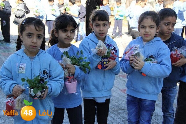 rashidiya 0212 (69).JPG